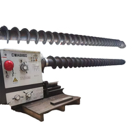 Lame spirale hélicoïdale rotative sans arbre en acier inoxydable, lame continue pour convoyeur, pièce de rechange personnalisée pour lame spirale CNC