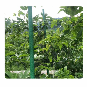 ท่อไฟเบอร์กลาสแบบกลวง ท่อ FRP แบบกลวง ท่อ GRP แบบกลวง ท่อคอมโพสิตไฟเบอร์กลาส - Product Image 1