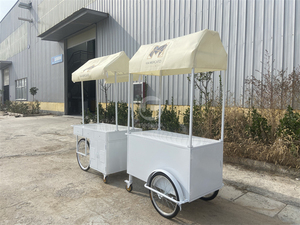 Petit chariot <span class=keywords><strong>électrique</strong></span> portable Parapluie poussoir à plaque froide Mini chariot de <span class=keywords><strong>supermarché</strong></span> à roue extérieure - Product Image 6