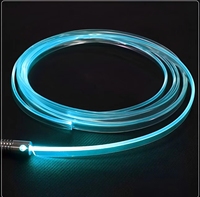 Bande de guidage de lumière de bord de jupe en PTFE de 2.0mm Fibre optique en plastique flexible pour l'éclairage de voiture