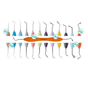 Instruments dentaires restaurateurs manuels Arte Dental LM Posterior Applica Modella Condensa Misura Cusp Misura Fissura Eccesso Solo - Product Image 1