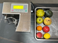 300-350 Stuks/uur Groente- en Fruit Schilmesjes Ronde Fruit Schilmesjes Ovale Fruit Schilmachine voor Straatverkopers Fruitwinkels