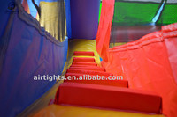 Château gonflable de 5 m de long avec une qualité supérieure, toboggan gonflable commercial