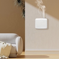 Diffuseur d'arômes sans eau pour hall d'hôtel, nébuliseur à air froid 800 ml, système de diffusion d'arômes pour usage commercial