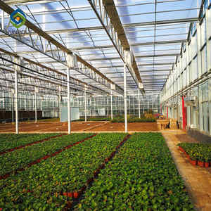 Kosten günstiges Gewächshaus glas landwirtschaft liches Venlo kommerzielles Gewächshaus glas gewächshaus zu verkaufen - Product Image 5