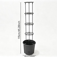 Supports de plantes grimpantes auto-arrosants, anneaux de support de jardin, jardinière avec treillis, tour de culture pour tomates
