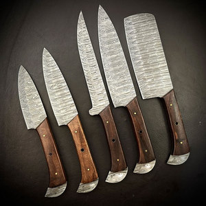 High Carbon 5-Piece Premium Damascus Kitchen <b>Knife</b> <b>Set</b> with Ambidextrous Ergonomic Wood Handles 67-Layer Polished Blades - Product Image 1