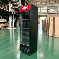 Réfrigérateur Commercial 300L à Porte Unique, Monotempérature, pour Boissons, Refroidissement Direct, Équipement de Réfrigération Domestique, Pratique