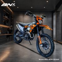 BRZ New Dirt Bike Electric Single Cylinder Air Cooling 4 Stroke 300cc Gas Fuel CDI Chain Motocross Enduro Off-Road >80km/h Adult