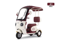 Venta Directa de Fábrica, Triciclos Eléctricos de Acero Personalizables, Modernos y Nuevos, Motor sin Escobillas de 60V, Autonomía Superior a 60 km, para Uso Doméstico