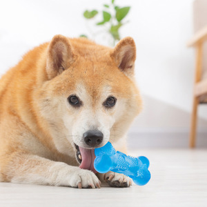 EETOYS TPR <b>Dog</b> Toy Vocalizing Bone L Size Interactive Chewable Pet Toy - Product Image 3