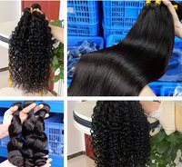 Échantillon Gratuit de Cheveux Bouclés Birmans, Cheveux Bruts Vietnamiens Ondulés Profonds 12A, Lots de Cheveux Humains Bruts Vierges Doublement Tirés en Gros pour Vendeurs
