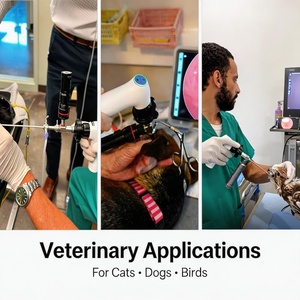 Sistema de Endoscopia Veterinaria Móvil Full HD para Endoscopio Rígido con Diseño Impermeable IPX7 para Práctica Veterinaria Móvil en Animales Pequeños - Product Image 6