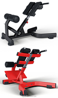 Banc d'hyperextension commercial, Chaise romaine robuste pour l'hyperextension, Équipement d'entraînement de force pour centre de fitness