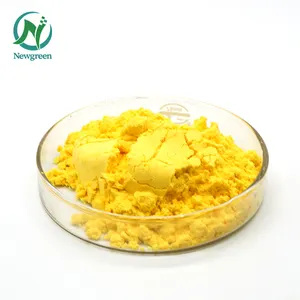 Newgreen Factory Supply estratto di fragola sfuso naturale Fisetin 98%