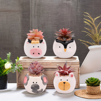 Vente en gros Poterie Céramique Dessin Animé Animal Chat Hibou Renard Ours Cactus Pots De Fleurs Pas Cher Mini Céramique Succulente Jardinière Pot De Fleur