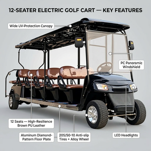 Voiturette de golf électrique Tarion Factory Direct 12 places, 72V 4KW haute puissance, 10+2 places, <span class=keywords><strong>buggy</strong></span> de golf touristique, batterie lithium, 30-50 km/h - Product Image 2