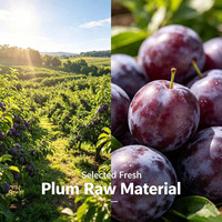 Poudre d'extrait de Prunus Mume (Fructus Mume) 10% 20% 30% 50% – Matière première botanique de prune noire – Échantillon gratuit – Ink Tide Biotech