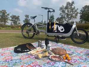 Cadre en alliage d'aluminium 6061 non électrique vélo cargo à 2 roues avec boîte en bois avant et arrière frein à disque hydraulique avant et arrière - Product Image 5