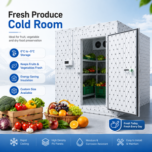 Chambre froide mobile, chambre froide à entrée directe, utilisation extérieure, montage facile, noyau en mousse de polyuréthane, unité de condensation externe pour la transformation de la <span class=keywords><strong>viande</strong></span> - Product Image 3