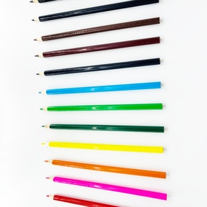 Lápices de Colores de Alta Calidad, 12 Colores por Paquete, Lápices Artísticos Bonitos para Niños, Lápices de Colores con Impresión Personalizada - Product Image 5