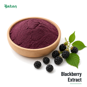 Extracto de Fruta de Mora 5% Antocianinas, Extracto de <span class=keywords><strong>Rubus</strong></span> <span class=keywords><strong>Fruticosus</strong></span>, Antocianinas Totales 5%, Probado por HPLC - Product Image 1