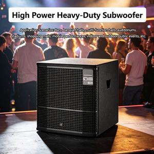 Subwoofer Activo de 12 Pulgadas con Procesamiento DSP, Alta Potencia, Bajos Ultra Profundos, Sistema de PA Portátil para Actuaciones en Escenarios Móviles - Product Image 2