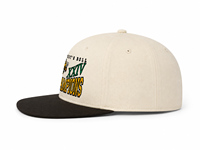 Casquette de baseball vintage personnalisée avec logo, en coton, broderie 3D en relief, visière plate, snapback unisexe, style hip-hop, sportive, motif léopard, pour les sports de plein air