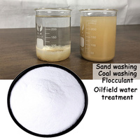 Poliacrilamida Industrial de Proveedores Chinos, Floculante Eficaz para el Tratamiento de Agua