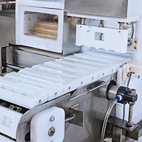 Machine automatique multifonctionnelle pour la fabrication de brochettes et le brochage de viande (bœuf, agneau, poulet, porc, boulettes de fondue chinoise)