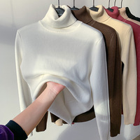 Sous-Pull Femme Doublé Polaire Épais Col Roulé Uni Tricoté Décontracté pour Automne et Hiver