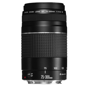 Pour objectif plein format EF 75-300 mm F/4-5.6 III - Product Image 6