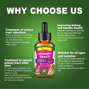 Köpekler için 100% organik bitkisel damla Multivitamin kenevir yağı Omega 3 6 9 sakinleştirici Pet gıda davranır vitamini beslenme takviyesi - Product Image 6