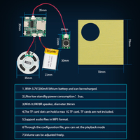 Programlanabilir ve İndirilebilir Ses Modülü, TF Kart Yuvası, Düğmeye Basarak Çalıştırma, Kaydedilebilir Ses Çipi, Oyuncaklar için