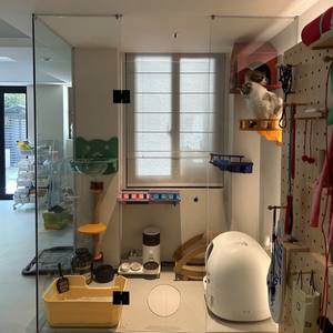 현대식 야외 고양이 케이지 빌라형 주택 유리 투명 파노라마 대형 맞춤형 디스플레이 고급 고양이 집 둥지 - Product Image 5