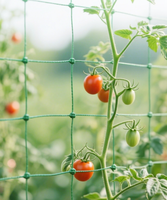 Filet de soutien réutilisable en HDPE tricoté vert gazon pour plantes grimpantes, résistant aux intempéries, avec service de découpe pour serres et fermes