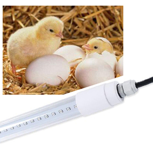 2023 NOUVEAU Dimmable Poulet Ferme Éclairage 4Ft <span class=keywords><strong>120cm</strong></span> Étanche IP65 Volaille Éclairage T8 <span class=keywords><strong>Led</strong></span> <span class=keywords><strong>Tube</strong></span> <span class=keywords><strong>prix</strong></span> usine - Product Image 2