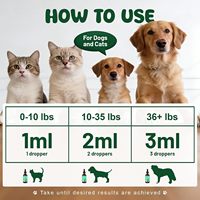 Probiotiques liquides OEM pour chiens et chats, prébiotiques, enzymes digestives, formule 3-en-1, soutien immunitaire, digestion sensible, vitamines nutritives