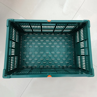 Fabricants de cagettes en plastique empilables, pliables, recyclables, de grande taille à vendre