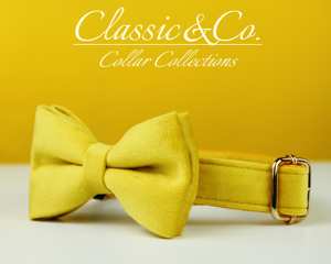 Collar y Correa Personalizados para Perro Veet Amarillo con Lazo Floral y Placa Grabada Silenciosa con Nombre, Regalo para Cachorros de Boda (Pequeño/Mediano/Grande) - Product Image 4