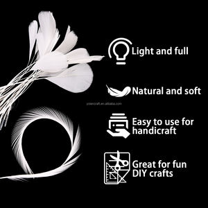 Offre Spéciale naturel 5 9 pouces teint dépouillé oie Nagoire plumes oie <span class=keywords><strong>Biot</strong></span> plumes pour carnaval vêtements décoration - Product Image 5