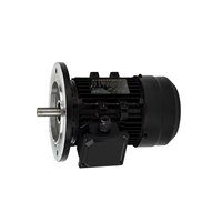 Moteur électrique triphasé, moteur à induction, 180W 250W 380V, moteur asynchrone triphasé AC pour machines textiles