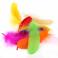Großhandel Bulk natürliche bunte Gänse flügel Federn 13-17CM gefärbte große schwimmende Gänse feder für Hochzeits feier Dekor DIY Handwerk