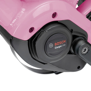 LEWEE Vélo électrique <span class=keywords><strong>cargo</strong></span> 36V 13.4 Ah/500Wh Batteries lithium 7 vitesses Vélo <span class=keywords><strong>cargo</strong></span> électrique pour adulte - Product Image 4