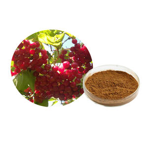 Polvo de extracto de fruta Schisandrae Chinensis Schizandrins 2%-15% <span class=keywords><strong>HPLC</strong></span> - Product Image 1