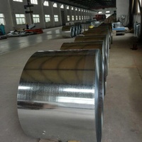 Bobines d'acier au carbone laminé à froid pour usines, 0,8 mm - 2 mm, tôles électrogalvanisées prépeintes en bobines, prix du fer noir