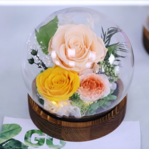 Rose éternelle sous cloche en verre avec lumière LED, double alimentation (batterie et USB), cadeau romantique pour la Saint-Valentin et les anniversaires - Product Image 1