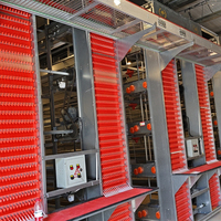 Équipement d'élevage en gros, cages à poulets, cages à volailles, cages à poules pondeuses pour élevage de poulets