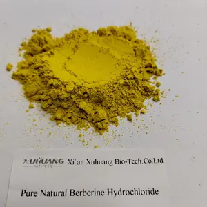 Gezondheid Berberine Supplementen Hydrochloride Berberine Poeder Berberberine Hcl 98%