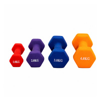 Dumbbell Besi Cor Heksagonal 1 1.5 2 2.5 3 4 kg Berlapis Karet Anti Selip untuk Latihan Harian dari Produsen